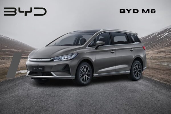 BYD M6